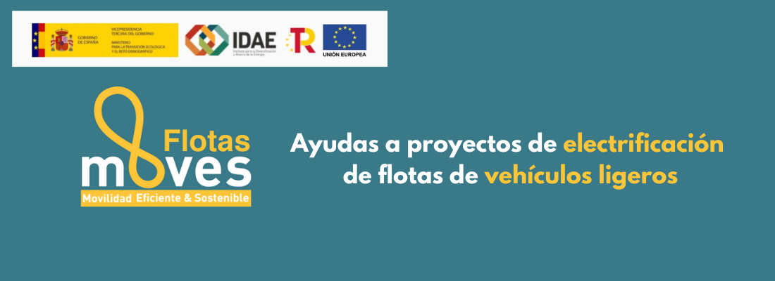 Programa MOVES FLOTAS, Ayudas a proyectos de electrificación de flotas de vehículos ligeros