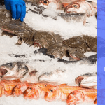 Curso intensivo de corte de pescado
