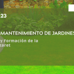 Instalación y mantenimiento de jardines y zonas verdes